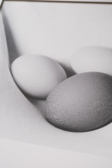 Série "Winter Eggs" en lumière douce par Sam Lomprez
