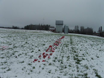 Isabelle Rouquette « The menstrue of life » 2010  Pierres, gouache, neige - Residency in Finland during the winter 2010 neer Haukivuori