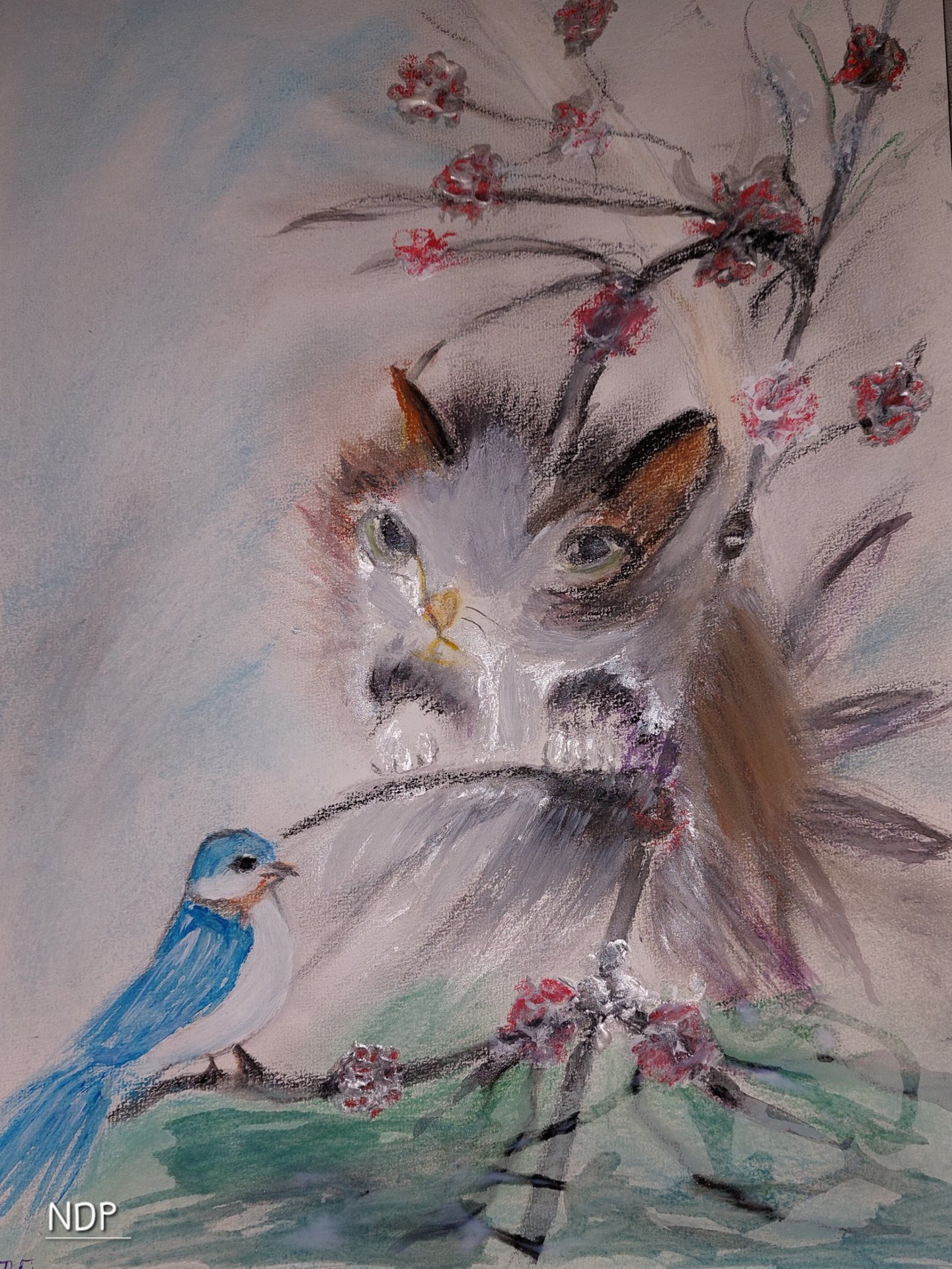 Chat et oiseau bleu parmi fleurs rouges