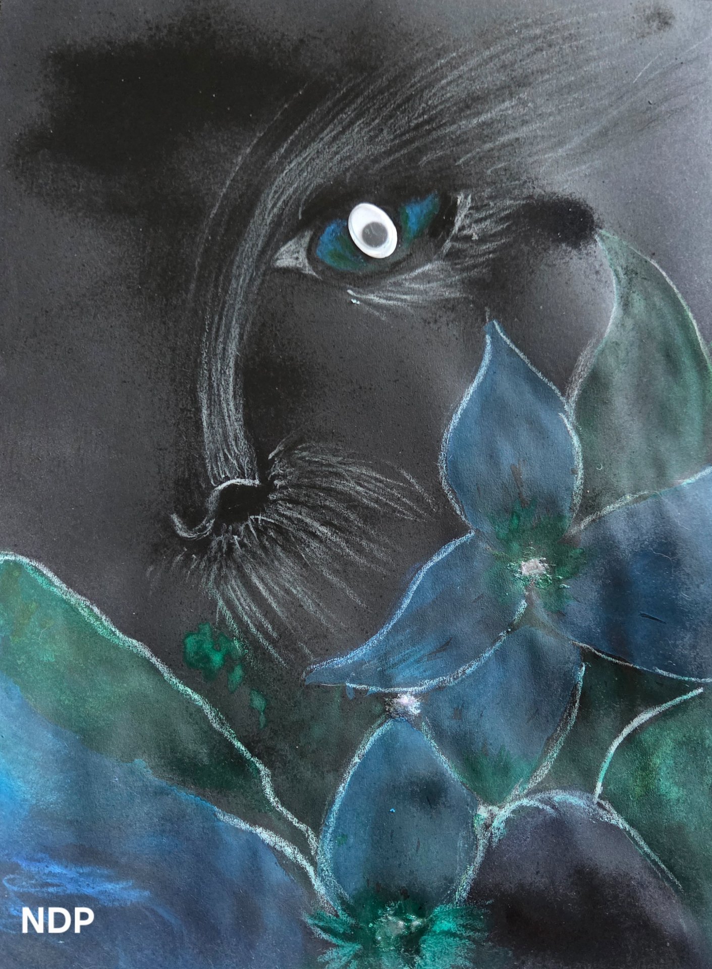 Le chat au regard persan