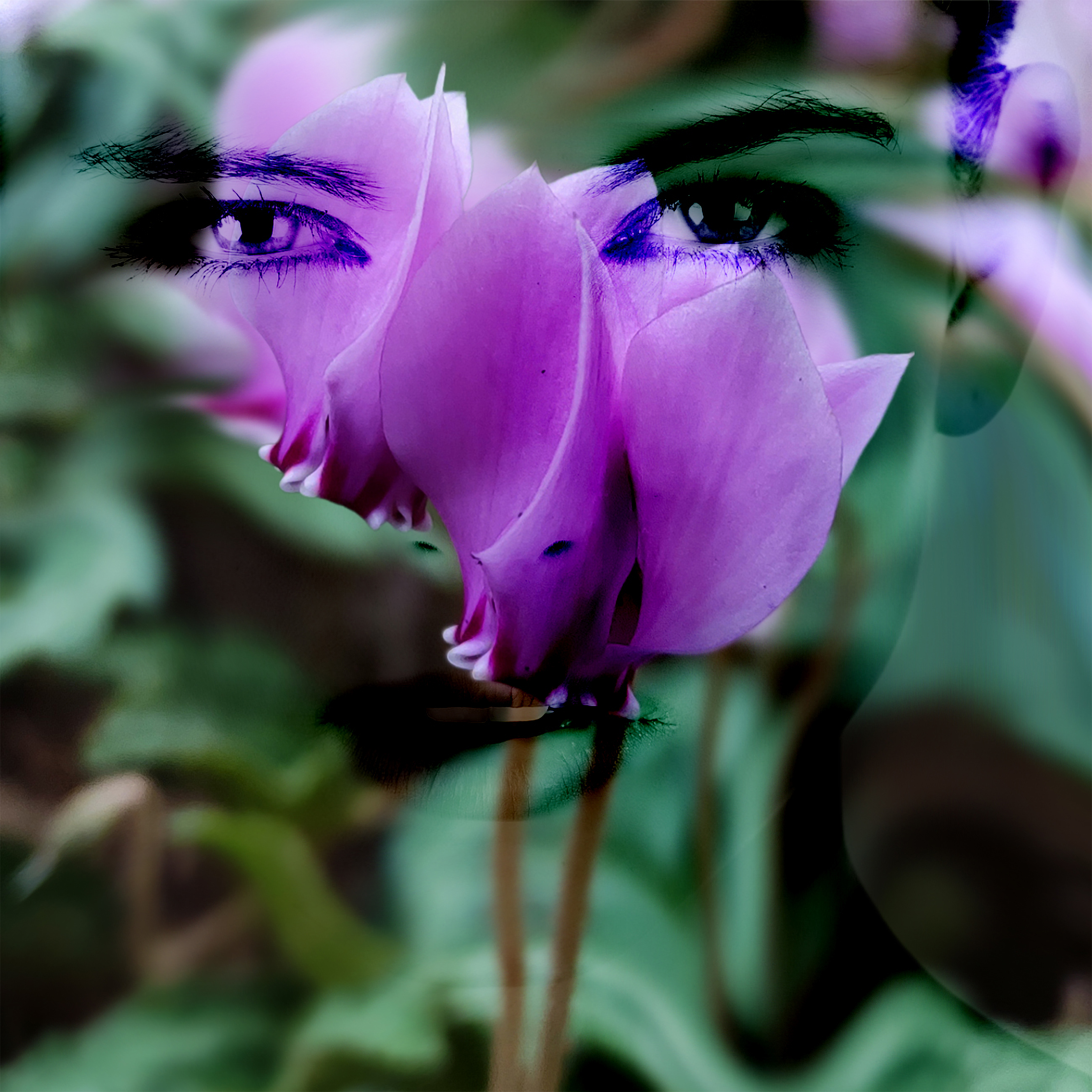 Fleur Visage Fusionné de Leo Sélian