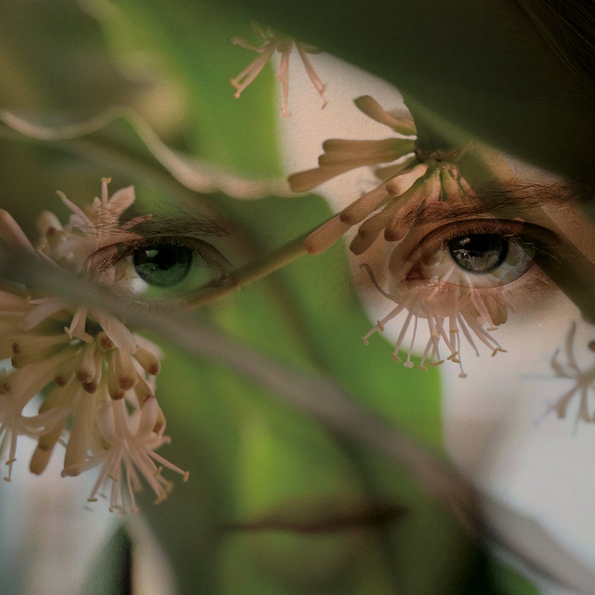 Fleurs de peau - Leo Sélian