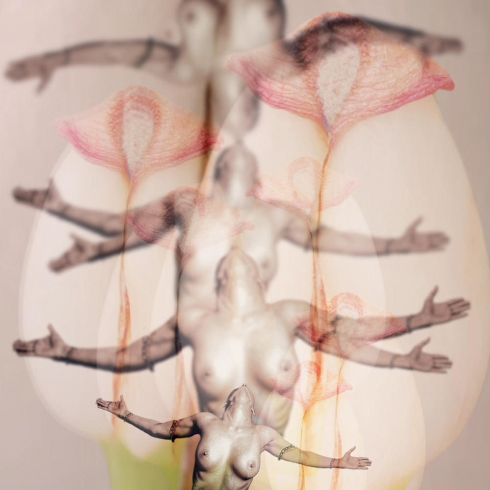 Floraison corporelle - Eric Koninckx