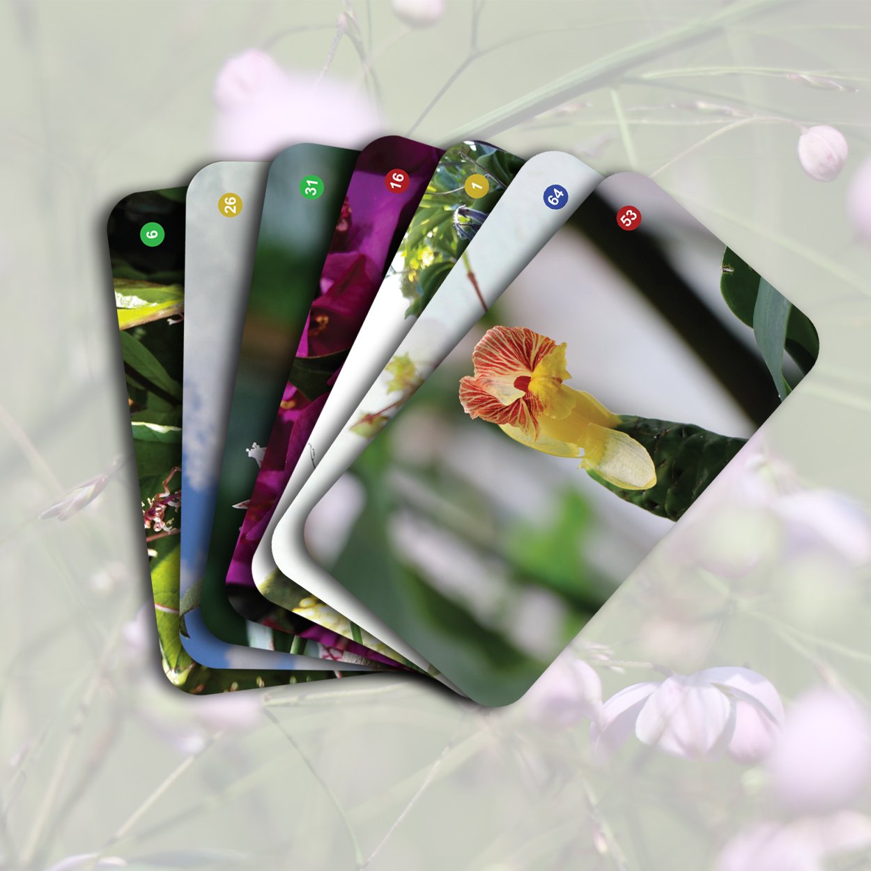 Floral Digital Cards par Leo Sélian — Leo Sélian