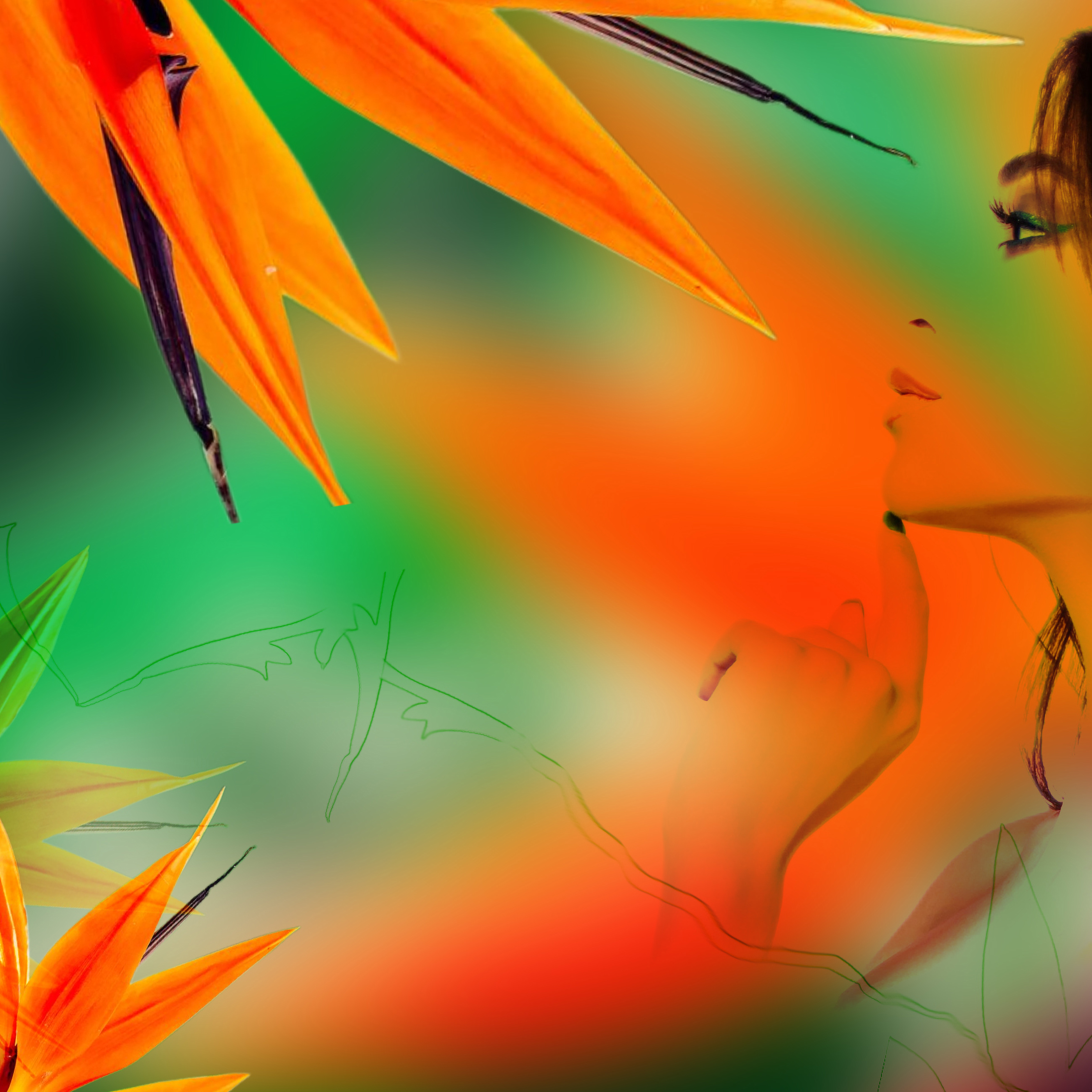 Profil tropical Leo Sélian fleurs oiseaux