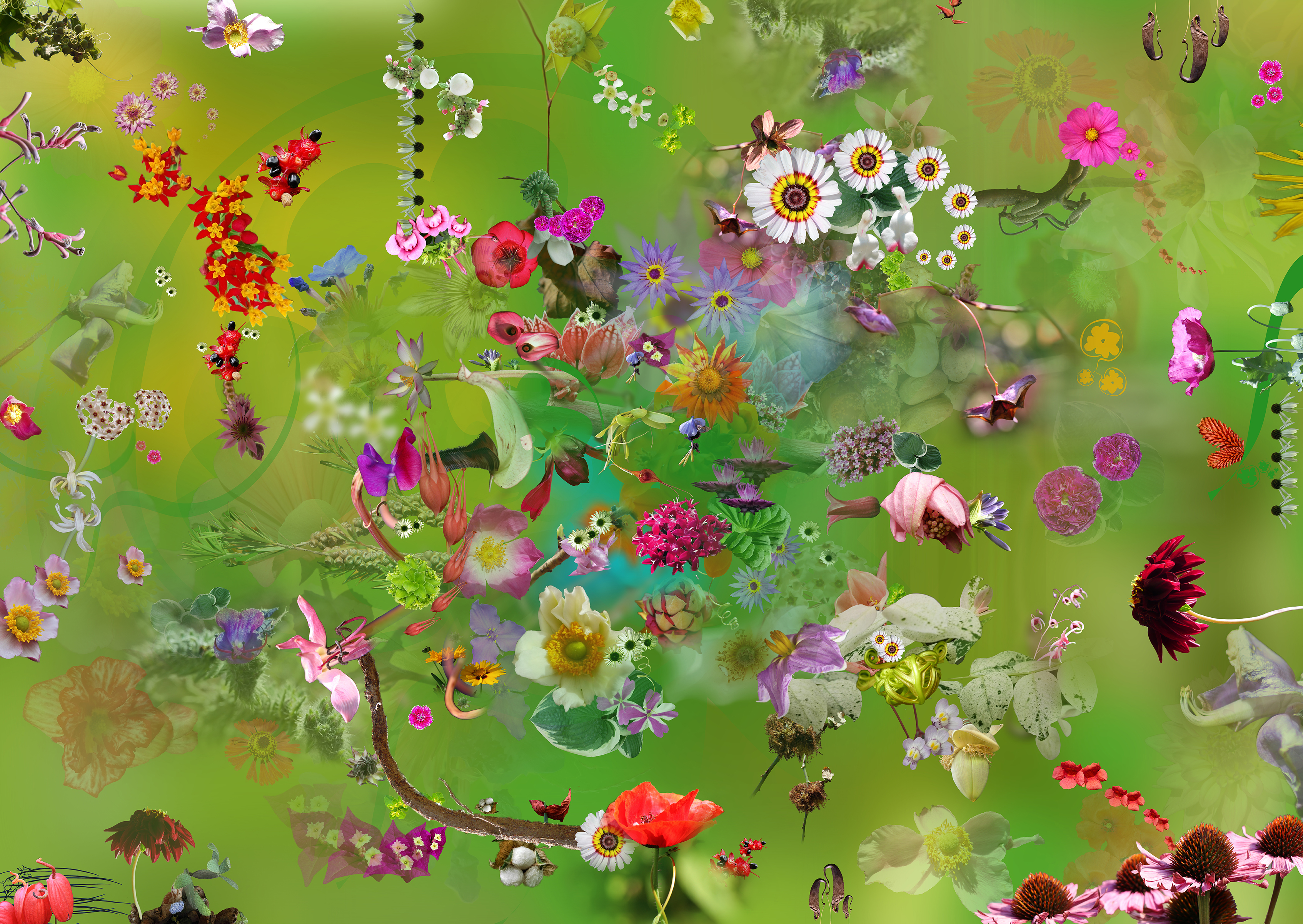 Symphonie Florale