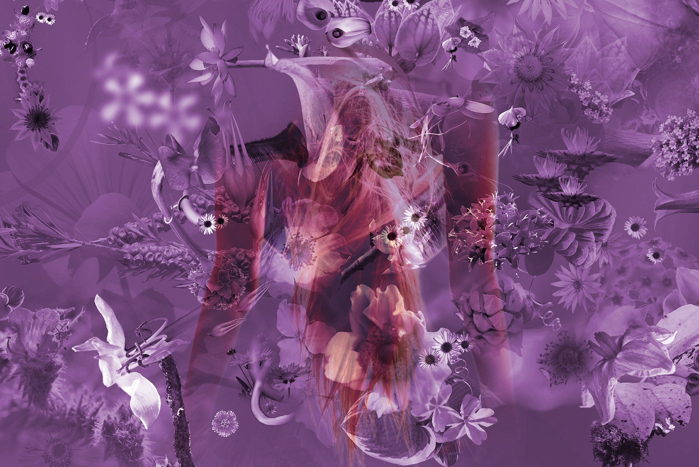Symphonie Florale Violette — Eric Koninckx