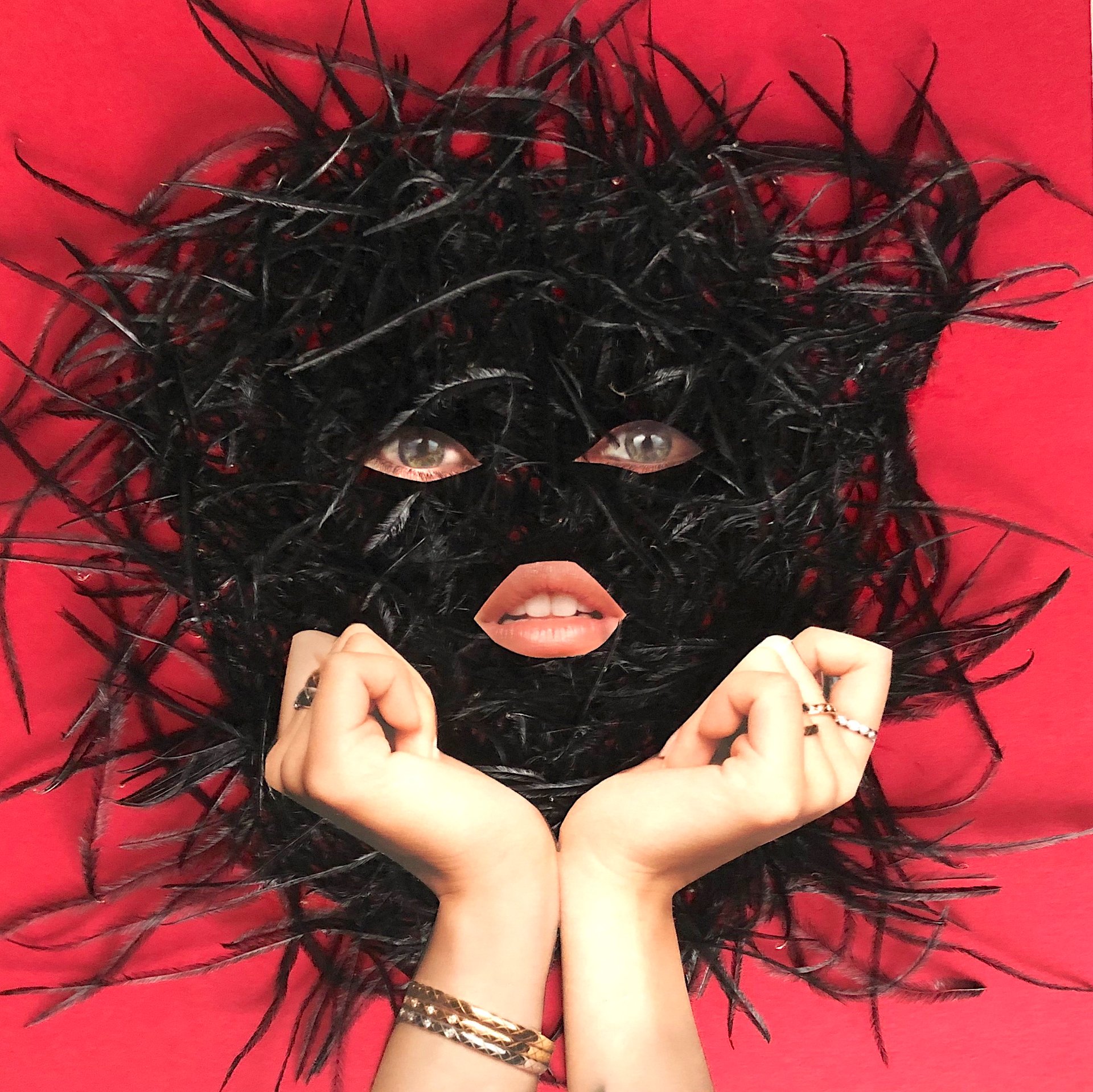 Masque de Plumes Noires sur Fond Écarlate — Eric Schmickrath