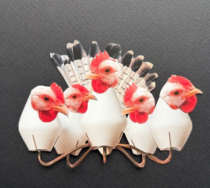 Têtes de Poules Coq- Bestière par Eric Schmickrath - Artiste plasticien ixellois