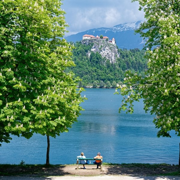 Lake Bled Serenity - Sigart