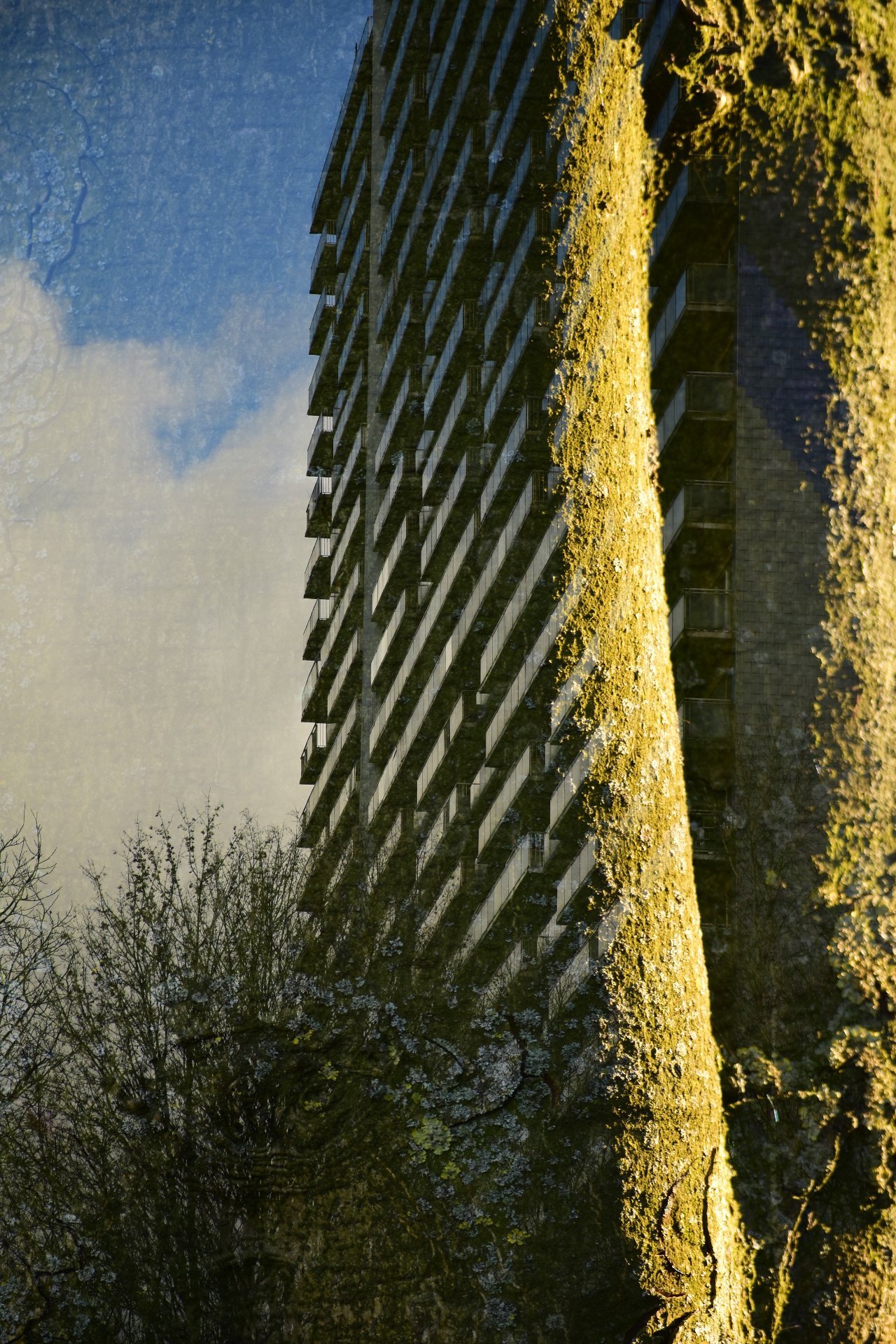 Végétalisons
