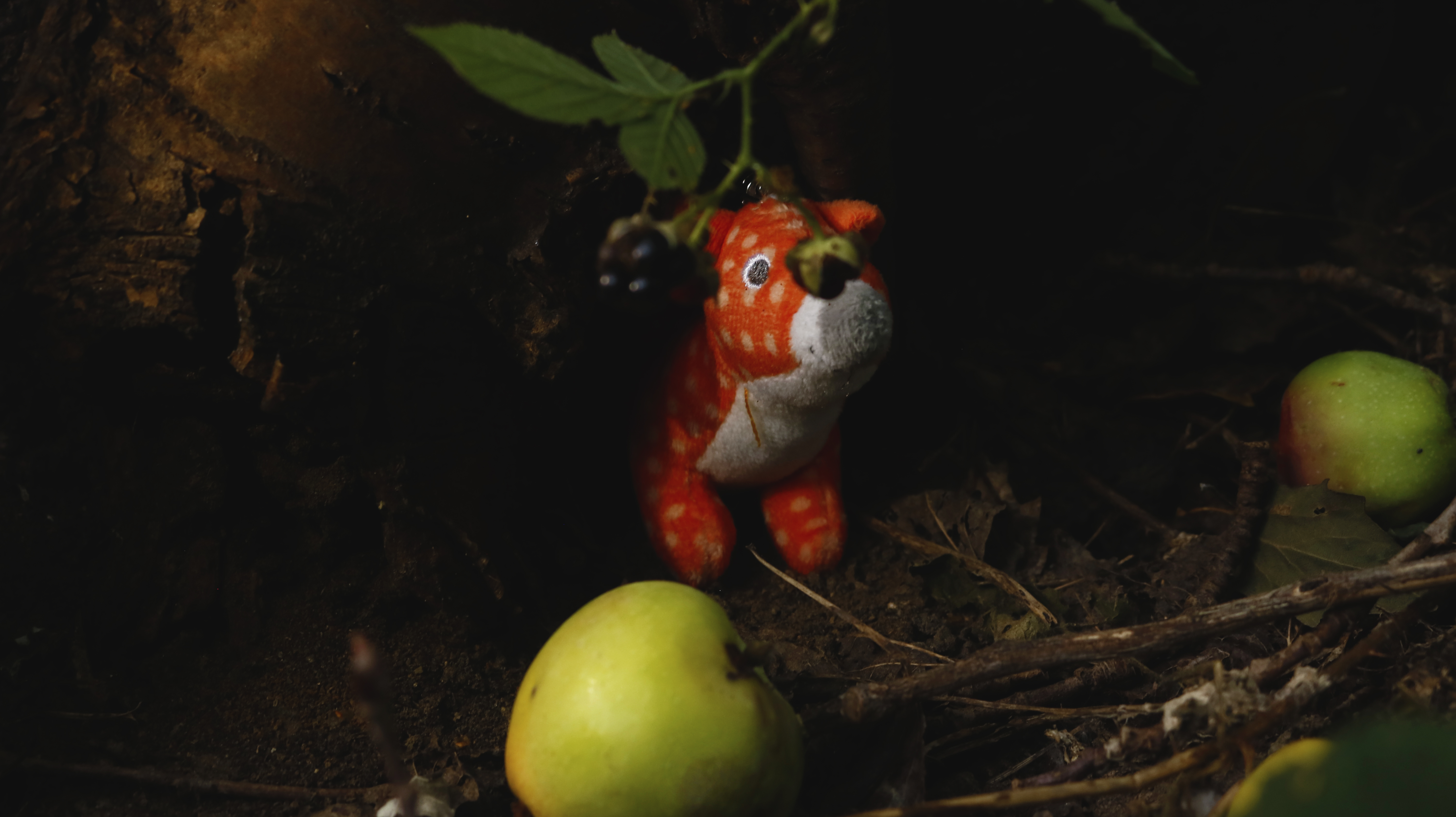 This is a fox (Série "Childlike impressions") - Raphael van Keulen - Bruxelles