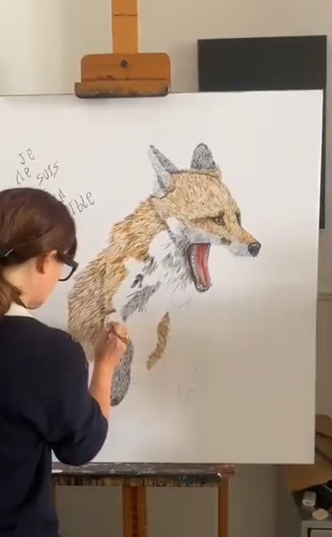 "Je ne suis pas un nuisible" - Renard expressif de Rose de la Haye - Artiste Bruxelles — Rose de la Haye