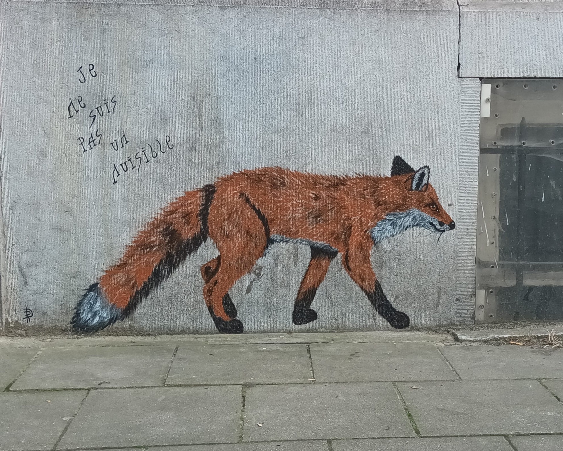 Renard "je ne suis pas un nuisible" — Rose de la Haye