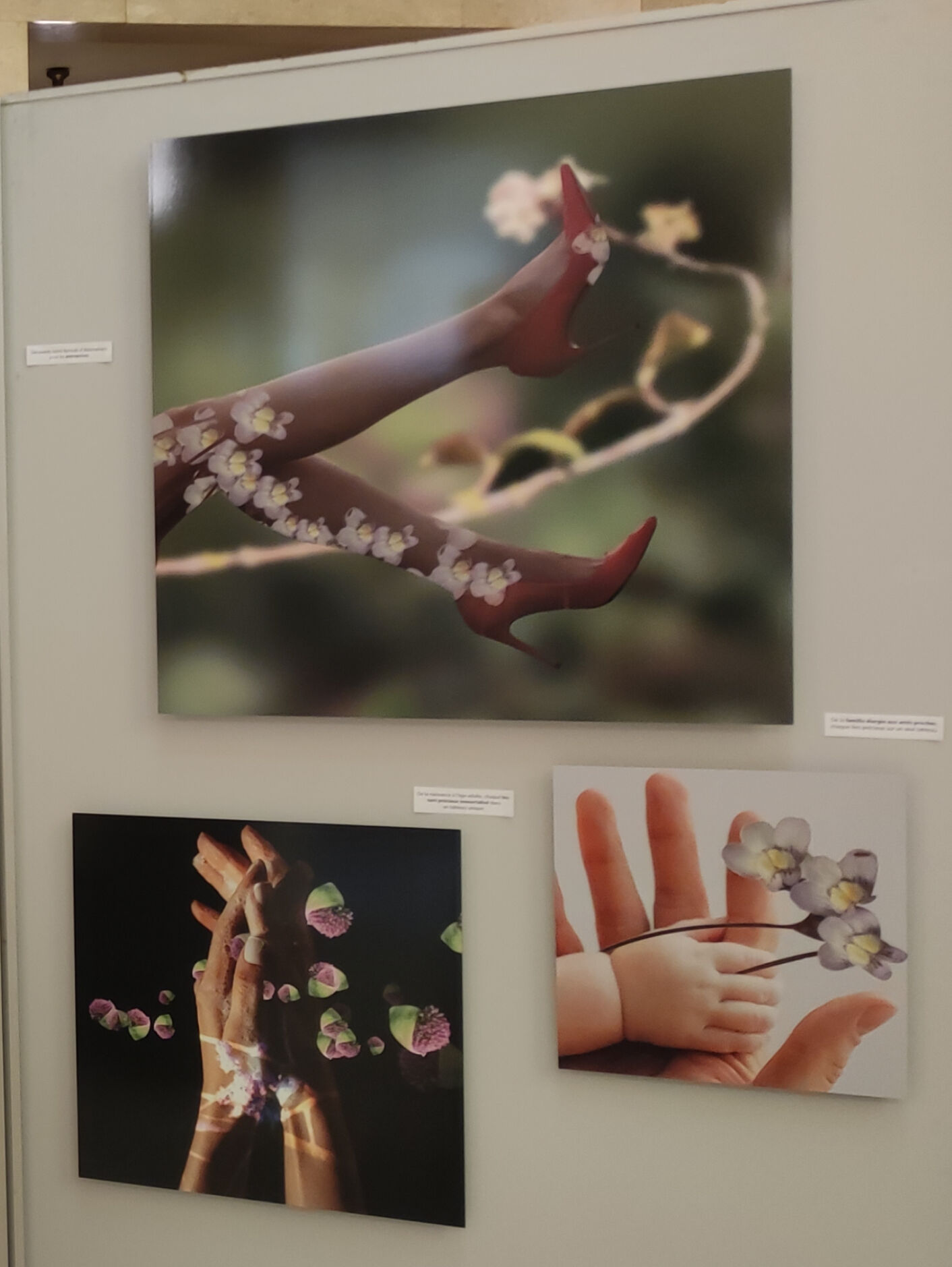 Exposition en galerie à Bruxelles montrant trois tirages photographiques d'Eric Koninckx : gros plans de jambes et de bras nus avec des fleurs blanches et roses délicatement posées ou peintes dessus, sur fond flou naturel et noir, explorant la fusion entre le corps humain et la nature.