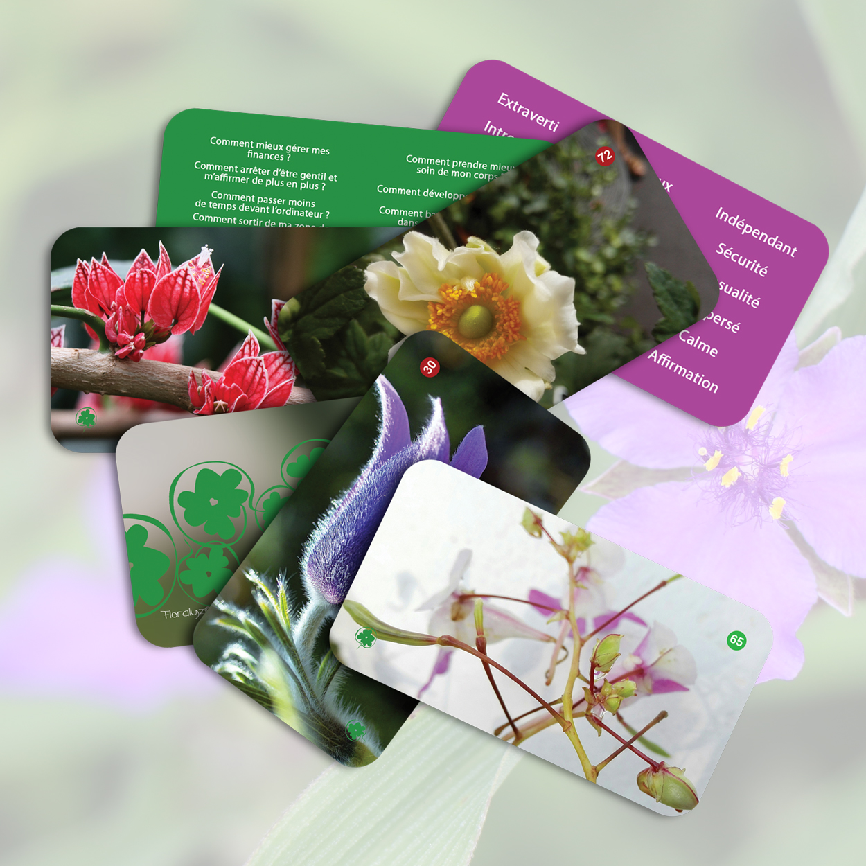 Un jeu de cartes floral pour jouer, échanger, observer, rire, réfléchir et offrir un moment différent. Entre intuition, stratégie, poésie et découverte de soi. https://jeufloral.be/#commander