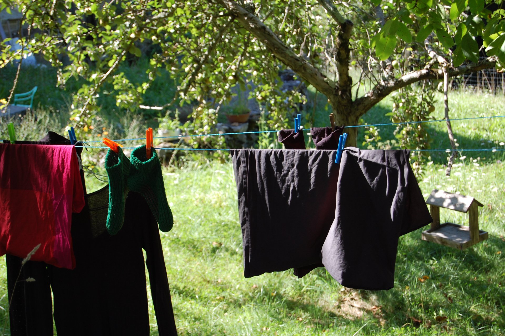 Des vêtements colorés et du linge noir pendent sur une corde à linge tendue sous un arbre aux feuilles vertes luxuriantes, dans un jardin ensoleillé. — Leo Sélian