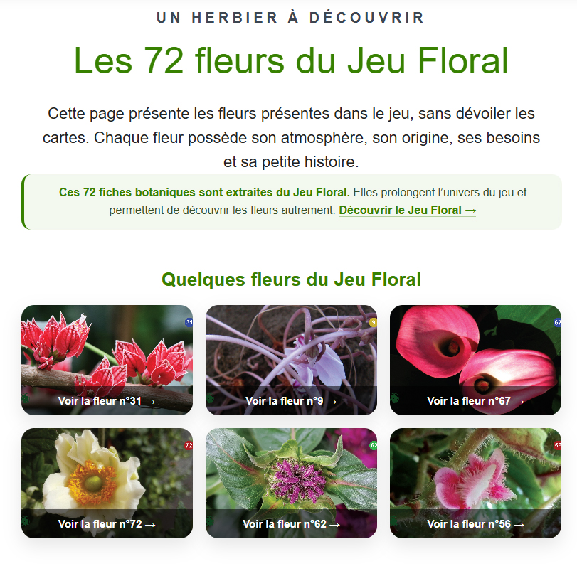 Avec son univers visuel, poétique et naturel, Le Jeu de Cartes Florales est une idée de cadeau originale pour les particuliers comme pour les entreprises. À offrir à un proche, un passionné de fleurs, un collaborateur, un client ou un partenaire, il transforme chaque partie en un moment de découverte et de partage. https://jeufloral.be/les-72-fleurs.html