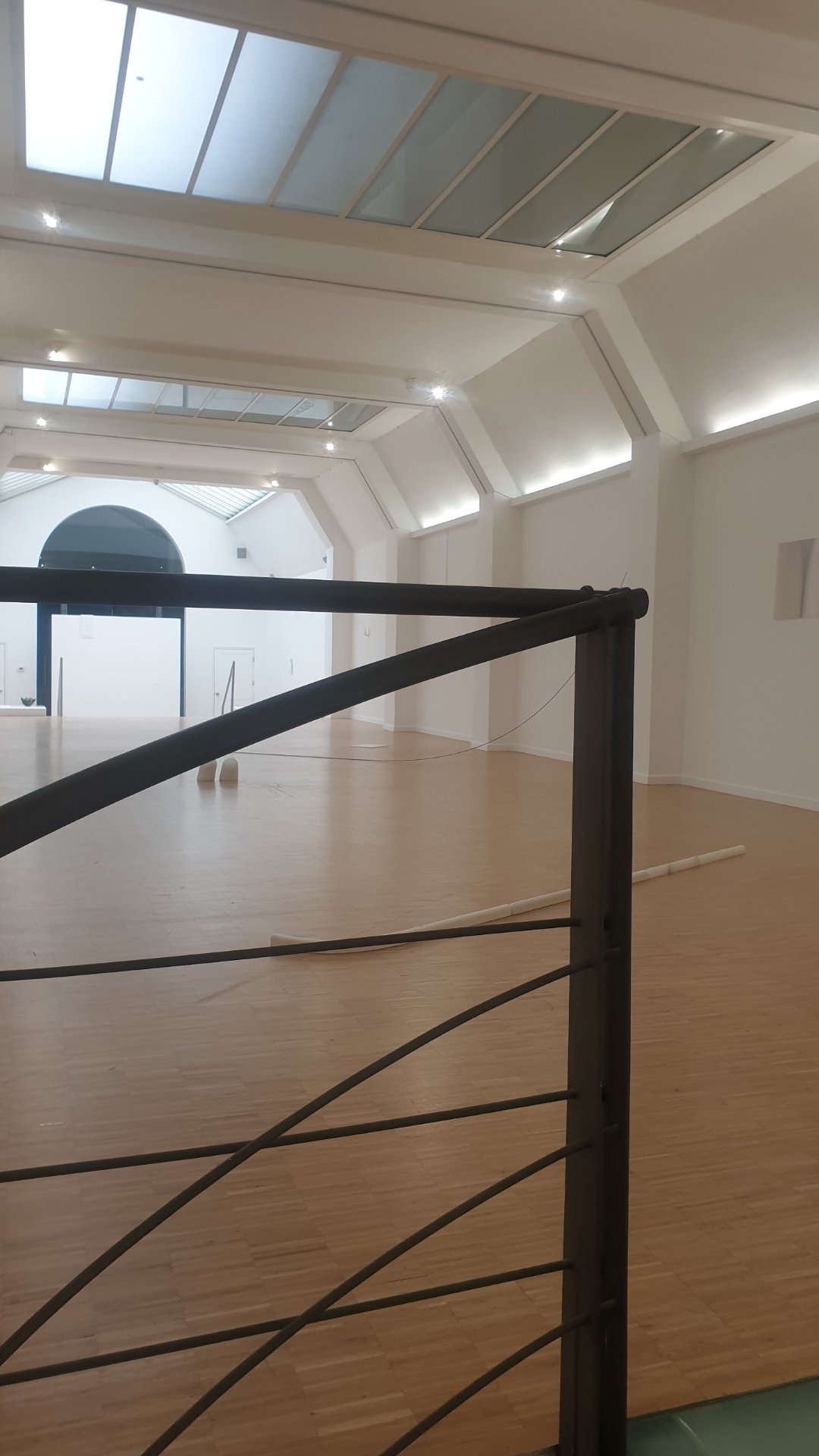 Superbe découverte des espaces de l'ISELP à l'occasion de l'exposition « Become the Sky ». La scénographie met parfaitement en valeur le travail sculptural d'Elena Ferrer, dont les œuvres se succèdent comme autant de respirations dans la galerie. J'ai particulièrement apprécié la façon dont l'exposition nous invite à observer le monde autrement, loin des tumultes.

Conçue en trois temps, l'expérience débute avec l'installation sonore d'Anaïs Chabeur (qui relie l'intérieur de l'ISELP au Parc d'Egmont), se poursuit avec les magnifiques pièces d'Elena Ferrer, et se clôture avec le film d'Edurne Rubio. Une alliance d'artistes à ne pas manquer !

📍 Tout le reportage de l'événement est disponible sur Dropmuse : https://dropmuse.art/evenement/elena-ferrer-with-anais-chabeur-and-edurne-rubio-b-iselp-bruxelles-749829
🏛️ Soutenez et découvrez l'ISELP sur leur page : https://dropmuse.art/acteur-culturel/iselp
ℹ️ Pour approfondir le sujet, visitez la page officielle : https://iselp.be/evenement/become-the-sky/

Photographie — Exposition Elena Ferrer with Anaïs Chabeur and Edurne Rubio  Become the Sky' - ISELP - Bruxelles