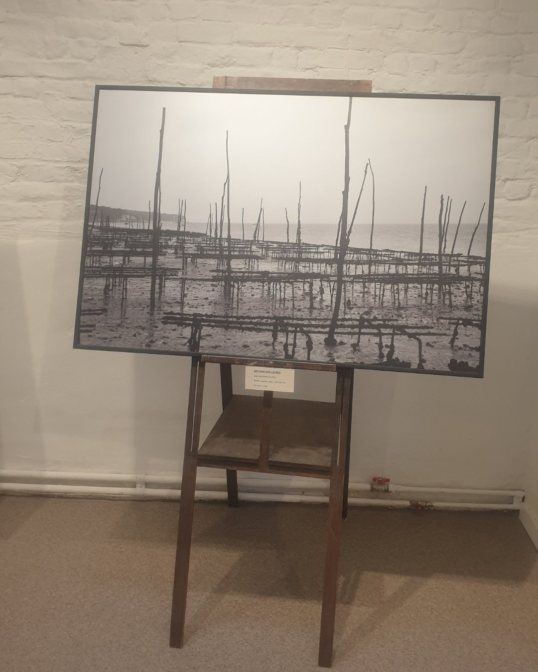 Photographie — Exposition "7 Regards" - Maison Stepman, Bruxelles
Le photographe Lahouari Jilali  m'explique la culture des huitres.