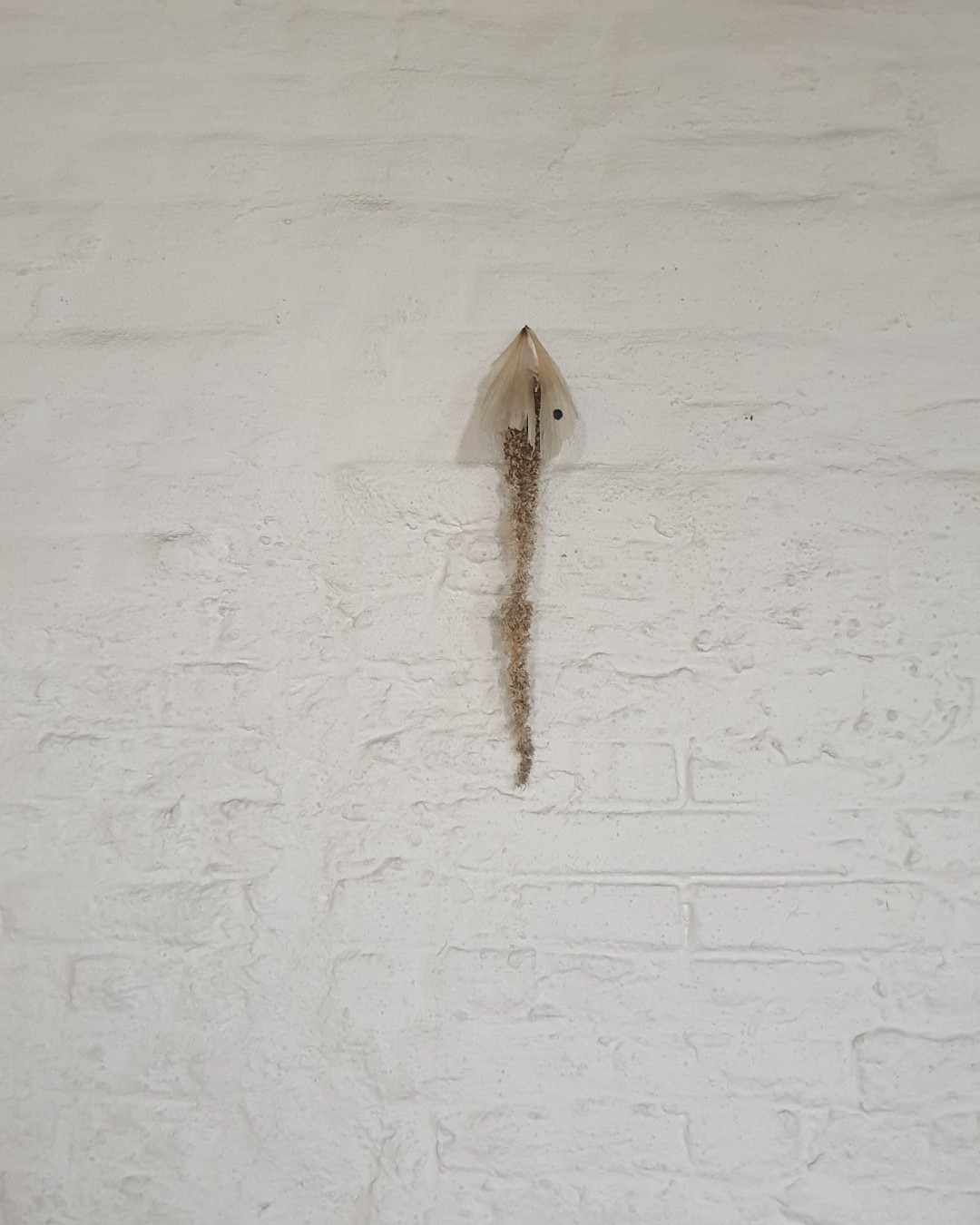 Photographie — Exposition Landslide à la Chapelle de Boondael : Art et scénographie à Ixelles, Centre d'Art de la Chapelle de Boondael