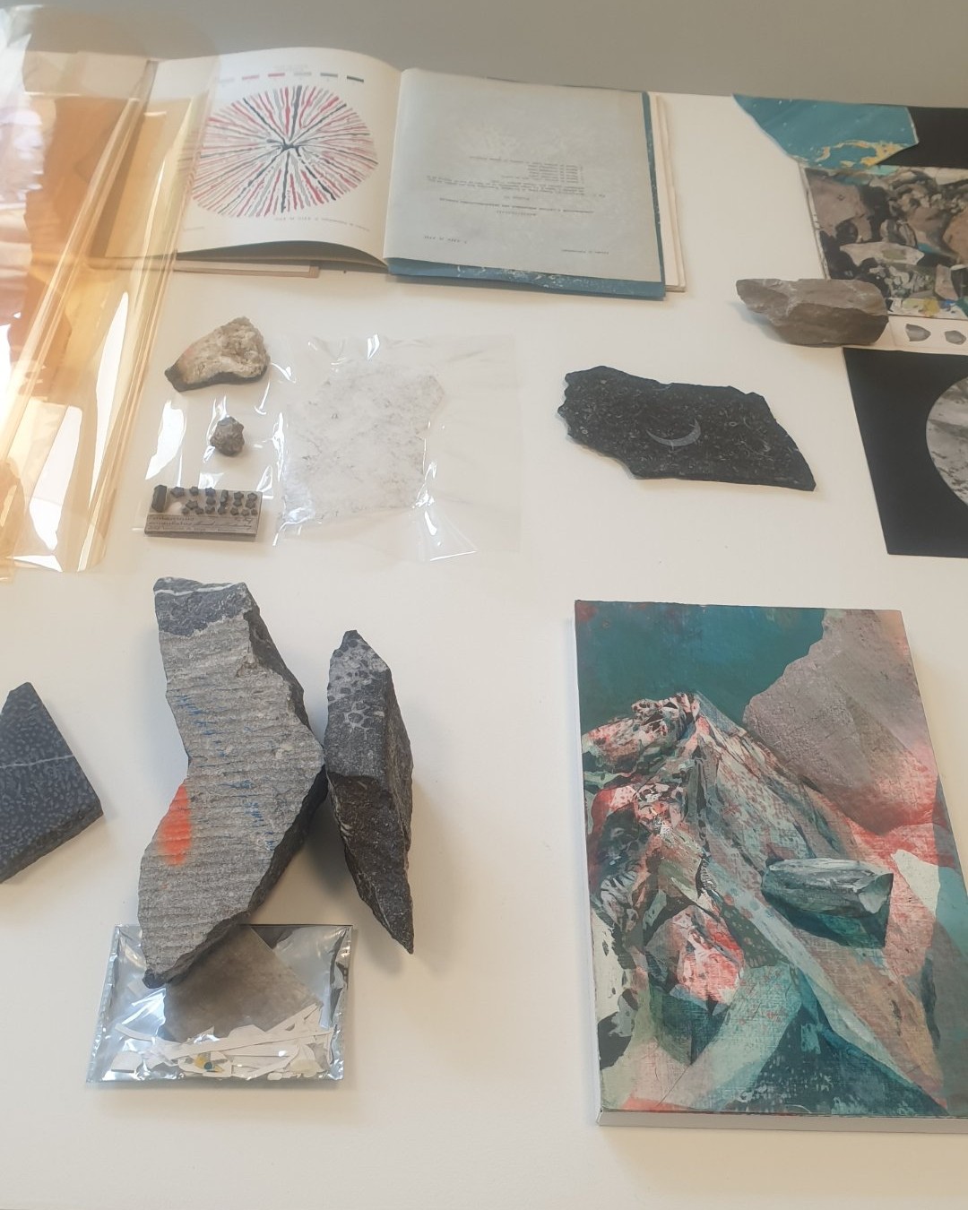 Veronica de Giovanelli est une artiste d'origine italienne (née à Trente, une région montagneuse qui explique son lien fort avec la roche et le paysage) et installée à Bruxelles. Son travail est fascinant car elle crée un parallèle direct entre la géologie et la peinture.
Si ses toiles mettent parfois 1 an à sécher et à être terminées, c'est parce qu'elle procède par "strates" et sédimentation, exactement comme la terre ! Elle ajoute des couches d'huile, attend, en gratte certaines (comme l'érosion). Ses toiles sont des paysages, autant qu'elles en représentent.

Photographie — Exposition « Lithologies » – Veronica de Giovanelli à KULT XL Expo | Ixelles