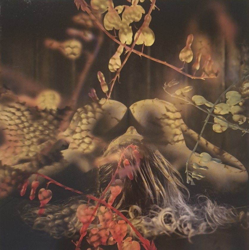 Plongée au cœur de l'image avec Léo Sélian
Laissez-vous captiver par les détails et les textures de cette œuvre fascinante signée Léo Sélian (https://dropmuse.art/artiste/leo-selian-photographe-videaste-bruxelles).
En tant que photographe et vidéaste, Léo propose une approche singulière de l'image, créant des atmosphères oniriques et organiques qui invitent à la contemplation. Cette pièce maîtresse est à découvrir en vrai lors de notre grande exposition collective de 6 artistes belges organisée chez SELOSSE ART.
Ne manquez pas ce rendez-vous incontournable du Parcours d'Artistes 2026 à Bruxelles !
📌 Toutes les infos sur l'expo :
https://dropmuse.art/evenement/exposition-collective-de-6-artistes-belges-a-ixelles-bruxelles-parcours-dartistes-2026-selosse-art-2
📍 Le lieu (Ixelles) :
https://dropmuse.art/acteur-culturel/selosse-art-centre-culturel-centre-bruxelles

Photographie — Exposition collective de 6 artistes belges à Ixelles, Bruxelles — Parcours d'Artistes 2026, SELOSSE ART — 22 avenue Armand Huysmans

#LeoSelian #PhotographieContemporaine #ParcoursDartistes2026 #Ixelles #BruxellesArt #ExpositionPhoto #SelosseArt #ArtBelge #Dropmuse #VideasteBruxelles — Jérôme Selosse