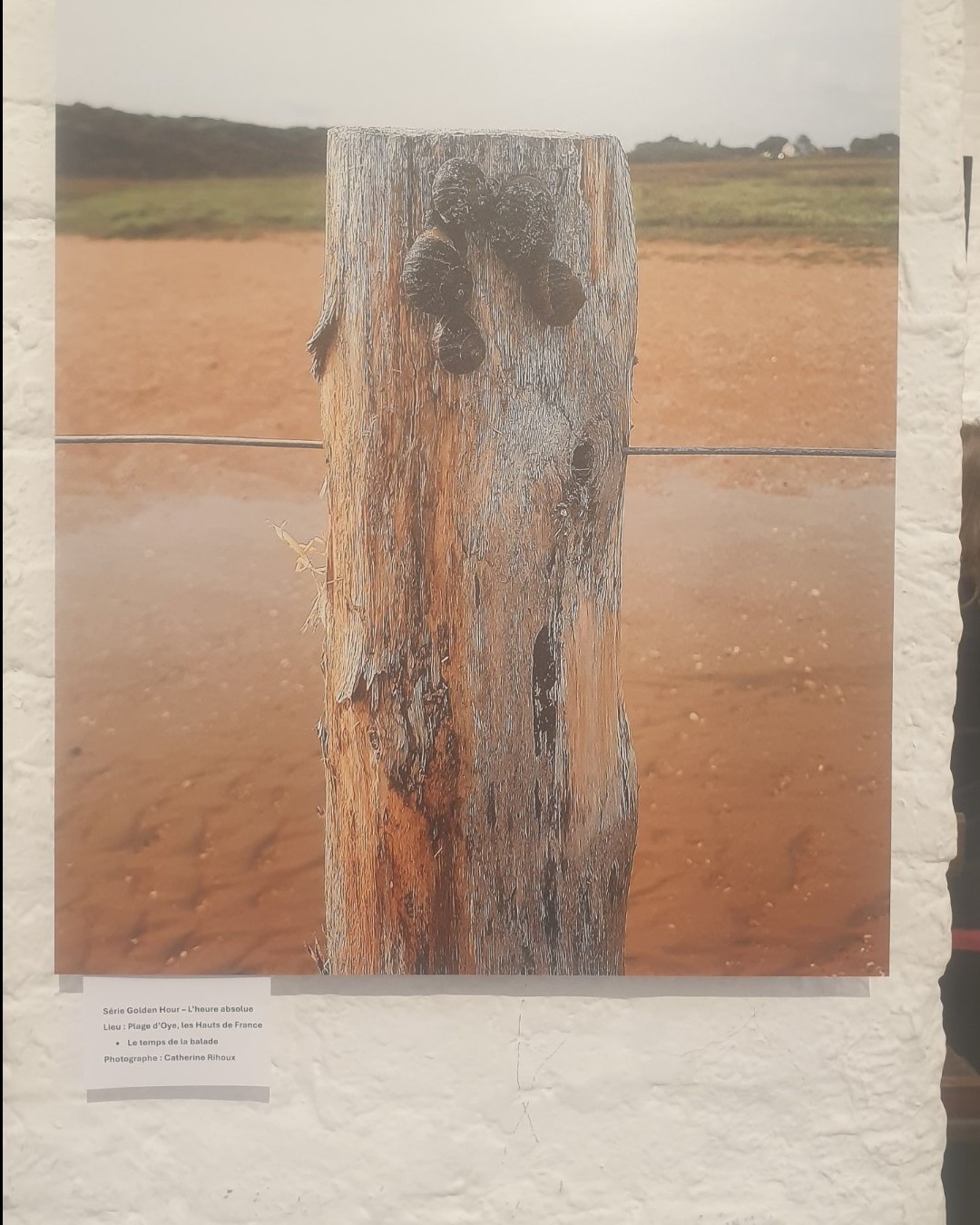 Photographie — Exposition "7 Regards" - Maison Stepman, Bruxelles Golden Hour 🌅 : plongée dans l'univers de Catherine Rioux (Shooté avec l'appli Here)