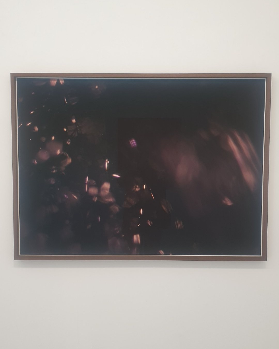 Photographie — Exposition Entr’acte d’été - Galerie Peter Gaugy Gallery - Cambre - Ixelles -Bruxelles

Marina Rosenfeld
Phononegative 4, 2025
Digital pigment print on archival paper
Custom walnut frame, museum glass
77 x 105.5 cm
Edition 1/3 + 2 A.P
8 400 € (TVA comprise)