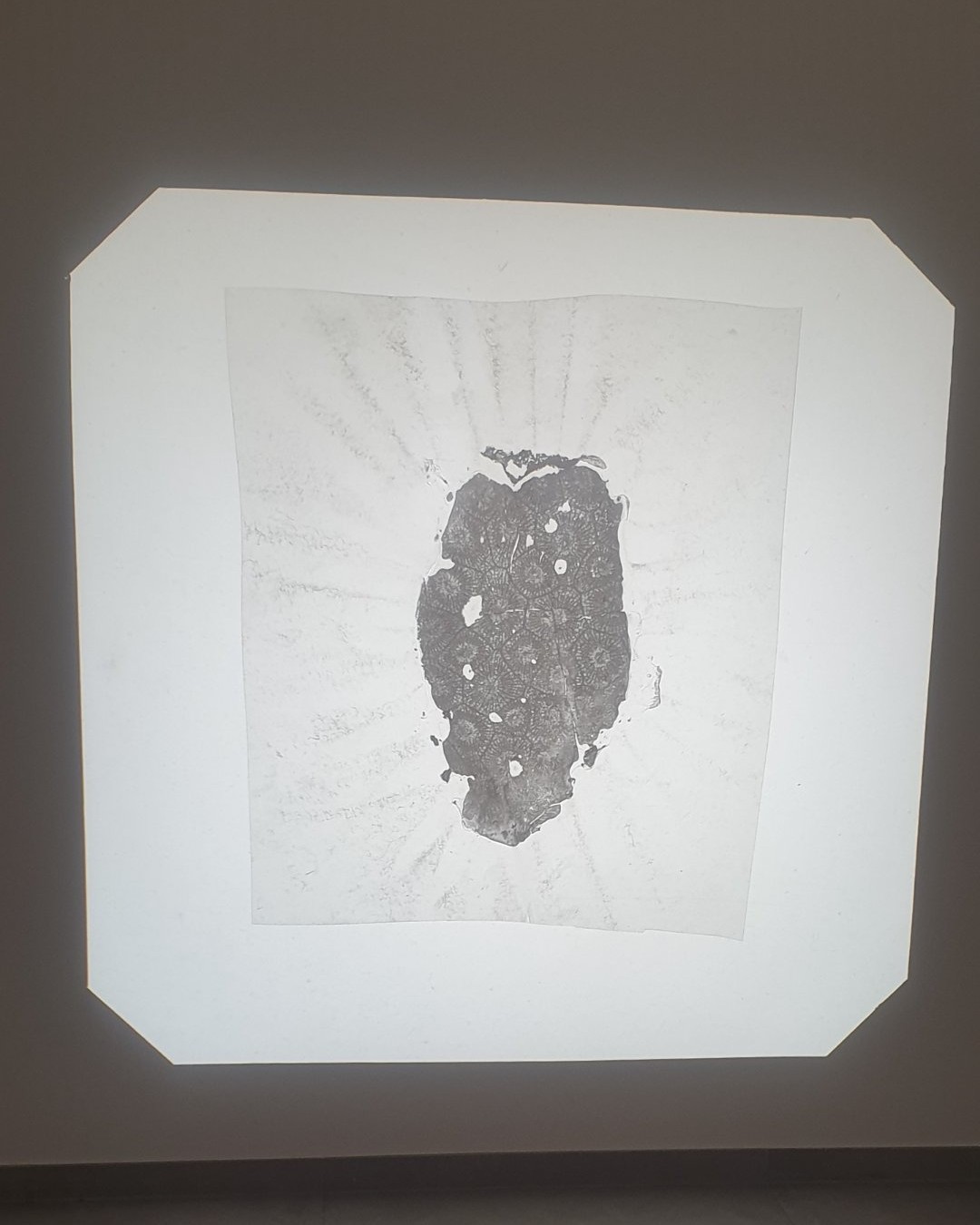 Photographie — Exposition « Lithologies » – Veronica de Giovanelli à KULT XL Expo | Ixelles