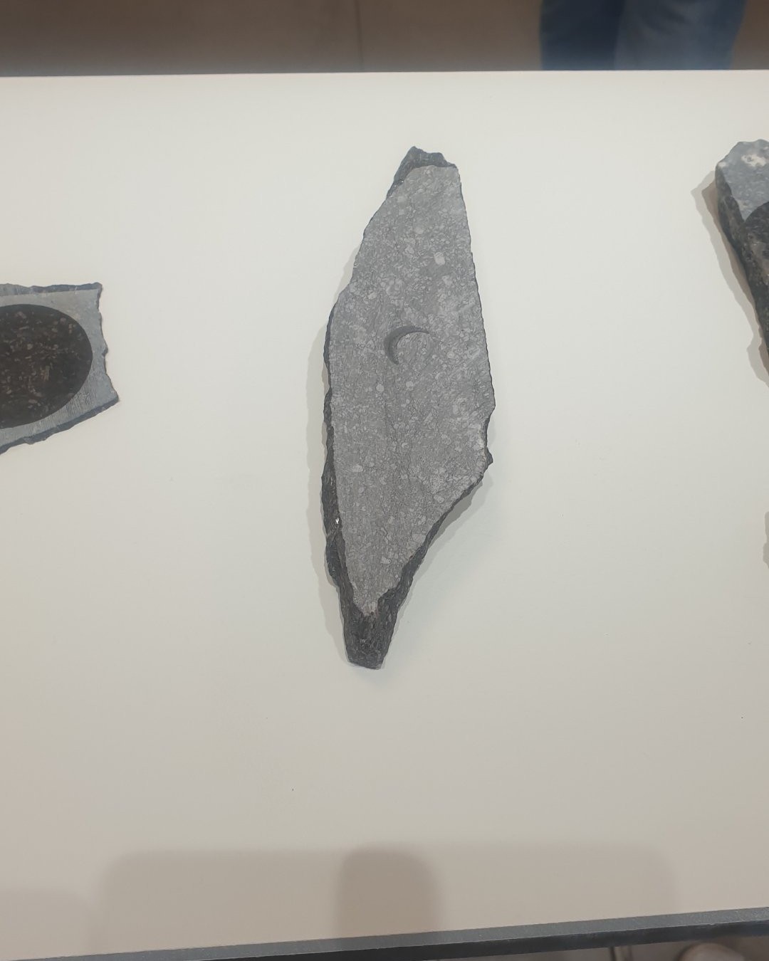 Hier, je suis allé à la KULT XL Expo d'Ixelles pour découvrir l'exposition 'Lithologies'. J'ai eu la chance d'y rencontrer l'artiste, Veronica de Giovanelli. Ce que j'ai retenu de notre échange m'a fasciné : son processus créatif imite la géologie de la Terre ! Ses immenses peintures à l'huile peuvent lui prendre jusqu'à 1 an de travail, car elle procède par couches, séchages et grattages, comme la sédimentation et l'érosion des sols. À travers ses toiles et ses pierres peintes, elle cherche à explorer la minéralité et à mettre en évidence l'empreinte laissée par la nature elle-même. J'ai adoré photographier sa table de recherches et les textures de ses œuvres. Voici quelques captures de cette belle rencontre minérale...

Photographie — Exposition « Lithologies » – Veronica de Giovanelli à KULT XL Expo | Ixelles