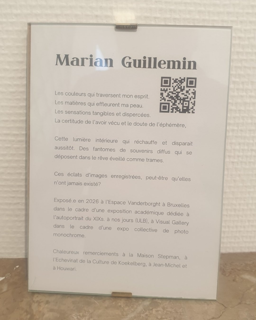 Photographie — Exposition "7 Regards" - Maison Stepman, Bruxelles
Ma visite à la Maison Stepman : mon coup de cœur pour Marian Guillemin · Photogramme.
