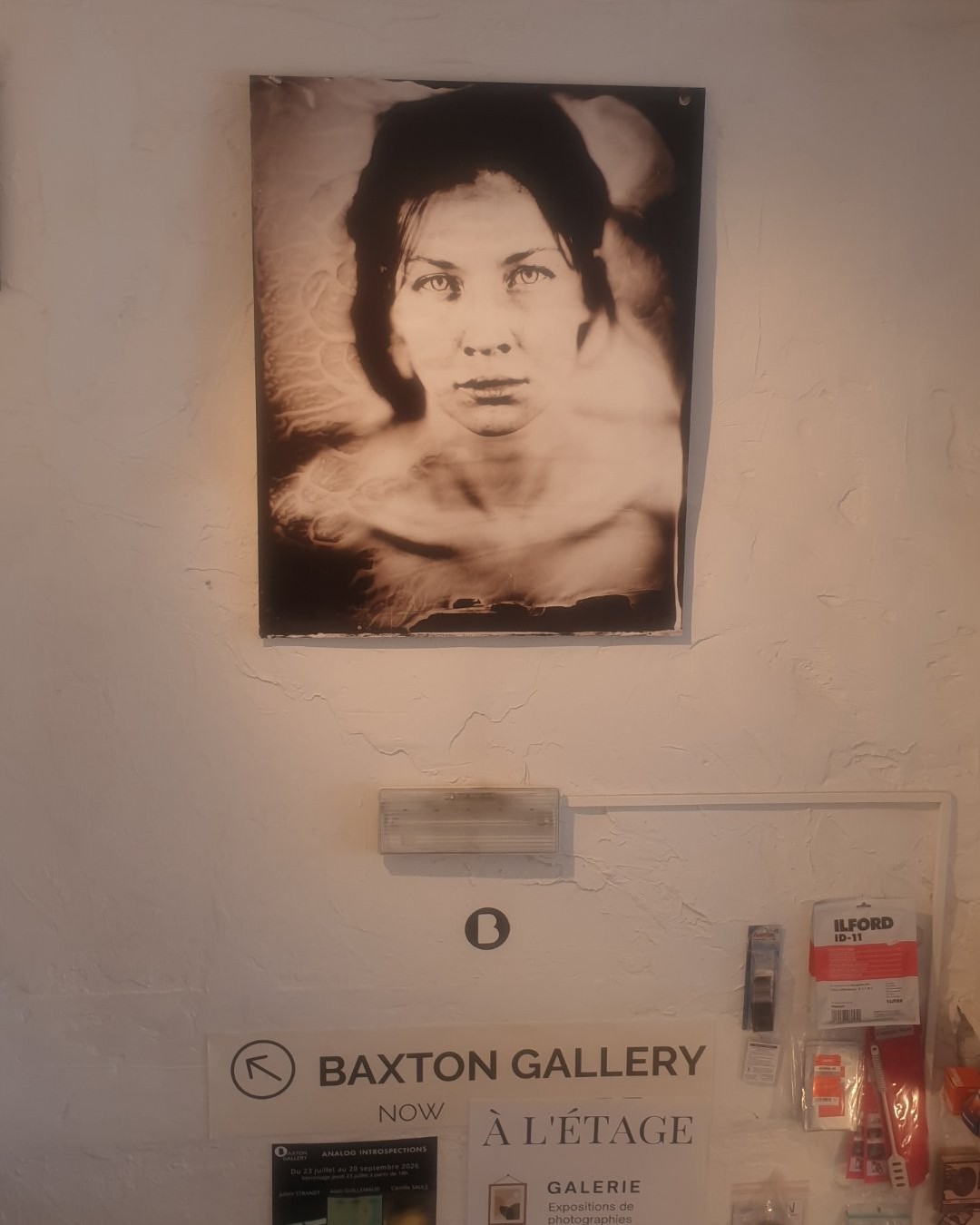 Photographie — Exposition Analog Introspections - Studio Baxton - Bruxelles