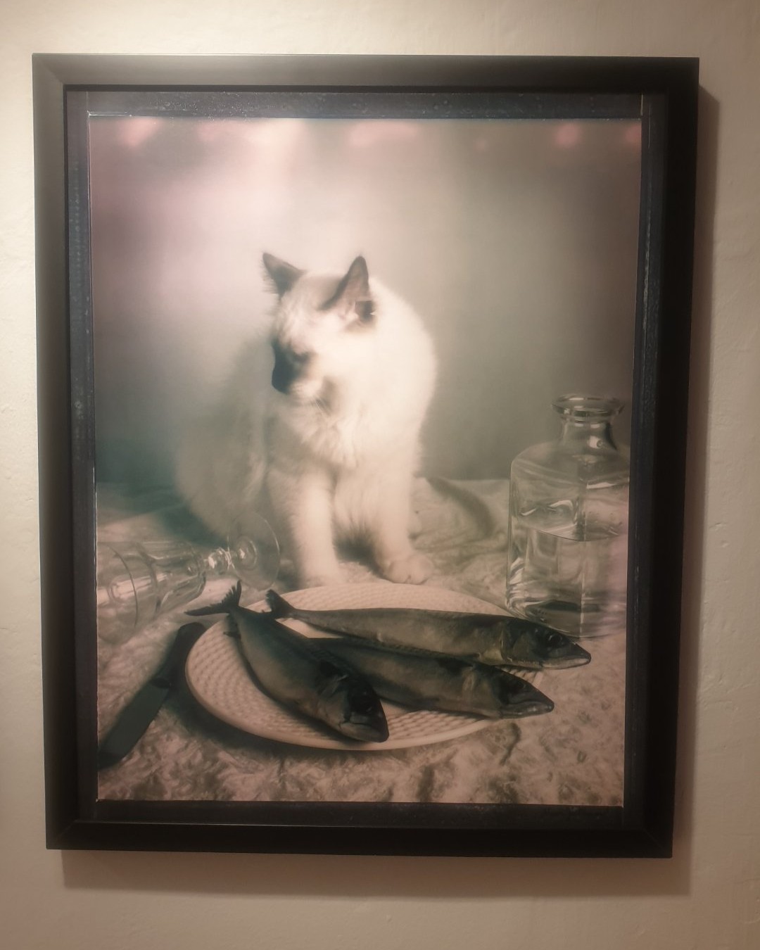 Photographie — Exposition Analog Introspections - Studio Baxton - Bruxelles