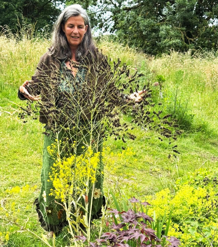 Sandrine de Borman sourit en tenant des plants d'Isatis tinctoria et des fleurs sauvages devant elle dans un pré verdoyant avec des arbres en arrière-plan.

🌐 Site officiel (Ars Herbarium) :
https://www.arsherbarium.com/