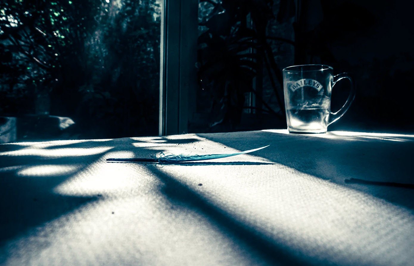 Une plume bleue et un verre Baileys reposent sur une surface illuminée par des ombres géométriques projetées par une fenêtre, dans une composition de nature morte jouant sur les contrastes de lumière et d'obscurité.

Photographie de l'artiste Dareen Abbas - Photographe freelance Bruxelles

Photographie: https://www.behance.net/dareenabbas
