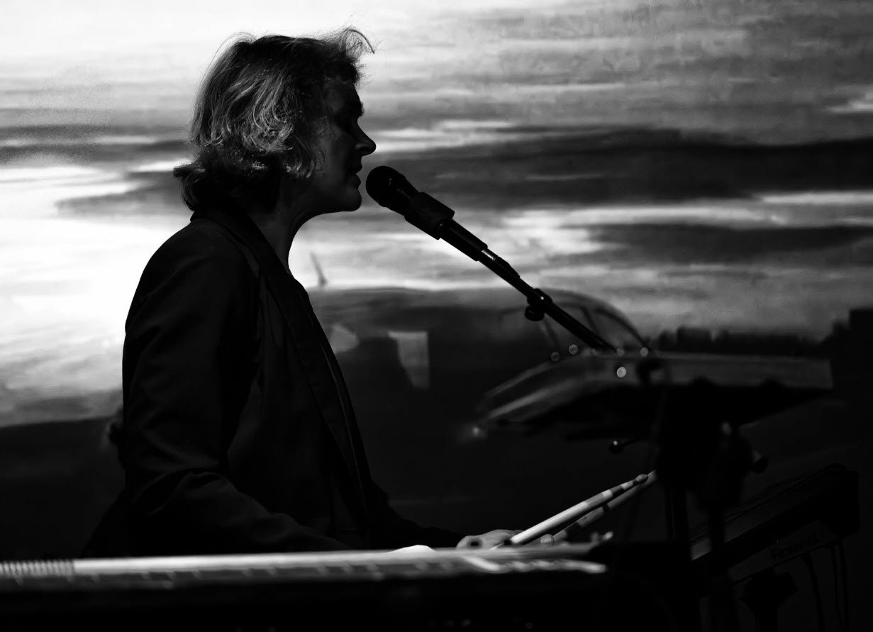 Silhouette de profil de la musicienne Cloé du Trèfle sur scène, abstrait en noir et blanc.

Artiste musicienne - Cloé du Trèfle en concert à Bruxelles, cliché de Shadowland