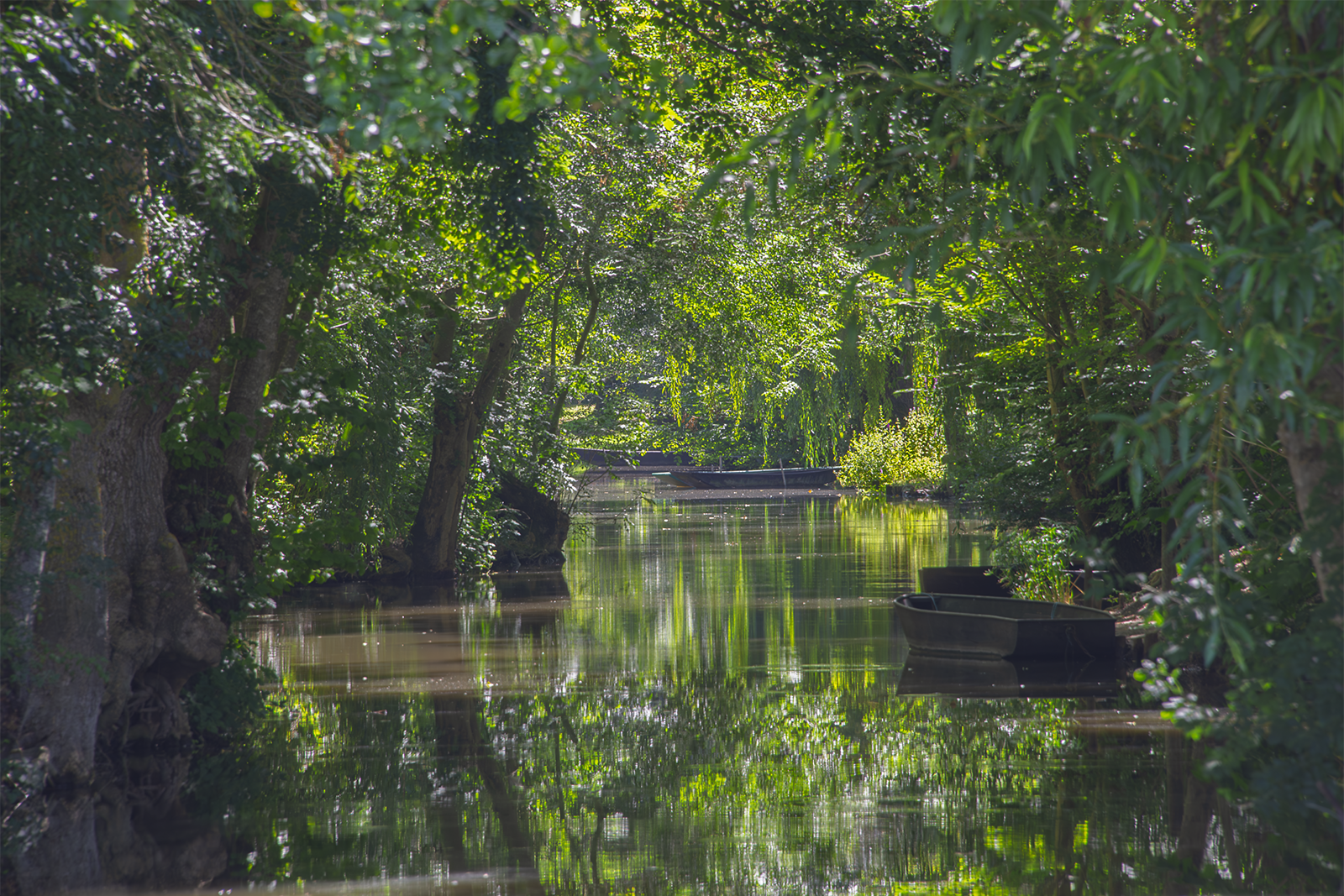 Un canal   encadré par des arbres majestueux aux feuillages denses et verts, avec des barques amarrées sur l'eau calme reflétant la lumière filtrée par le feuillage
Titre, prise de vue de Didier Vaneesbeck.