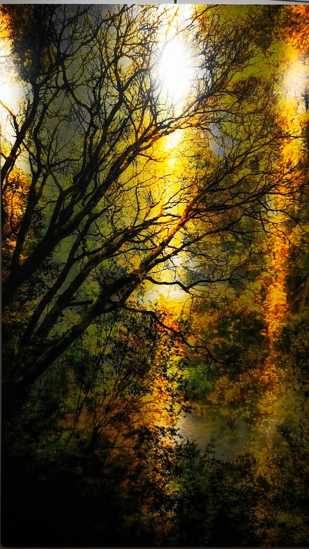 Forêt dorée