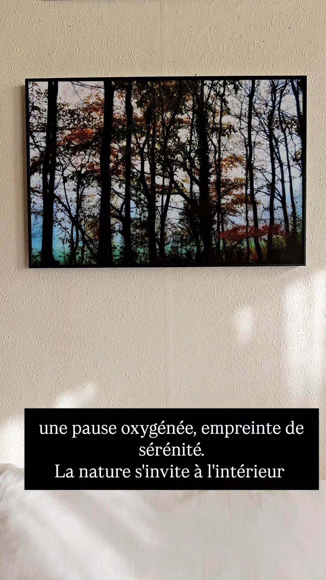 Forêt embrumée — Alexandra Daoust 