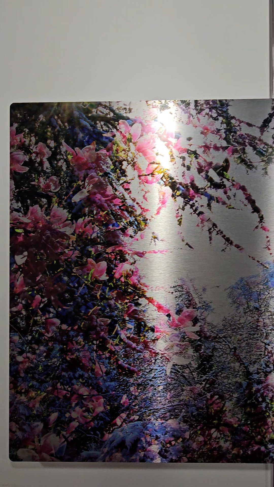 Neige rose "ode à la nature" — Alexandra Daoust 