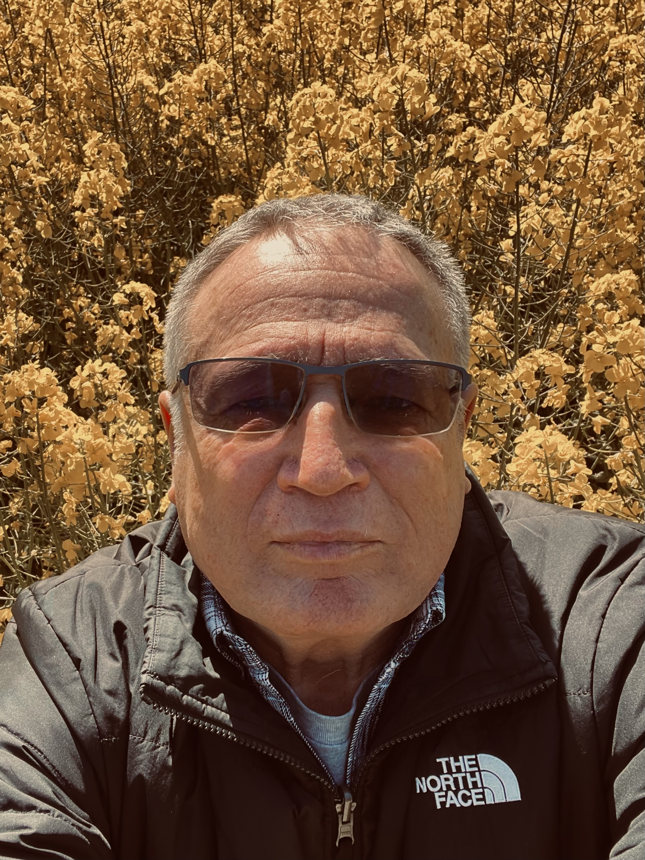 Sigmund Katz
