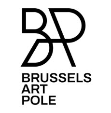 Brussels Art Pole