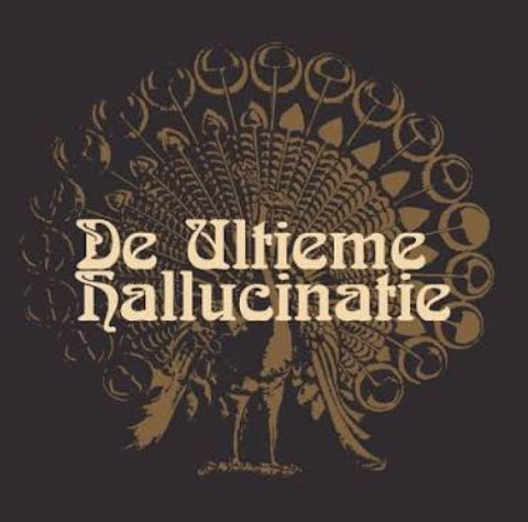 De Ultieme Hallucinatie