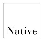 Native Auctions