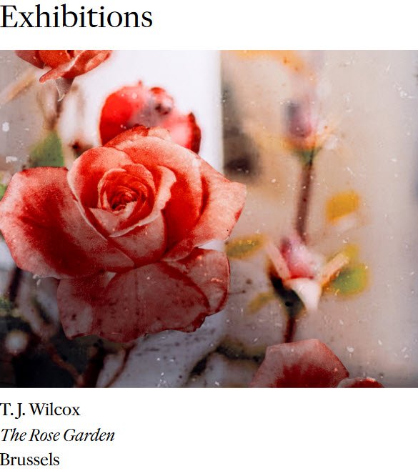 Exposition T.J. Wilcox - 'The Rose Garden' - digital collages - sculptural installation à la galerie Gladstone Brussels - Bruxelles