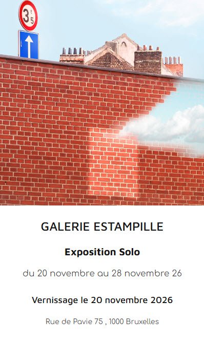 Exposition Solo - Peinture photographique de Pascale Delevaux à la Galerie Estampille (Bruxelles))