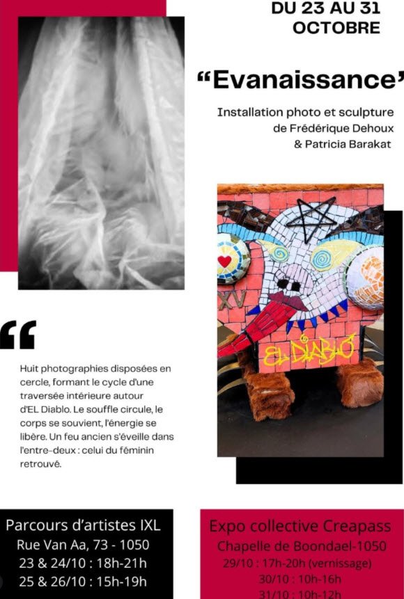 Evanaissance - Parcours d'artiste 2025 - Frédérique Dehoux Photographie Ixelles
