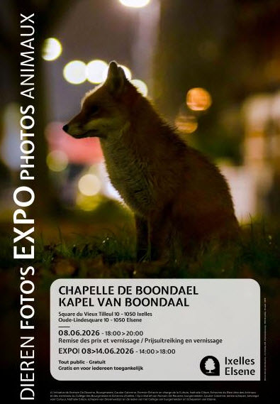 Expo Photos Art animalier Ixelles