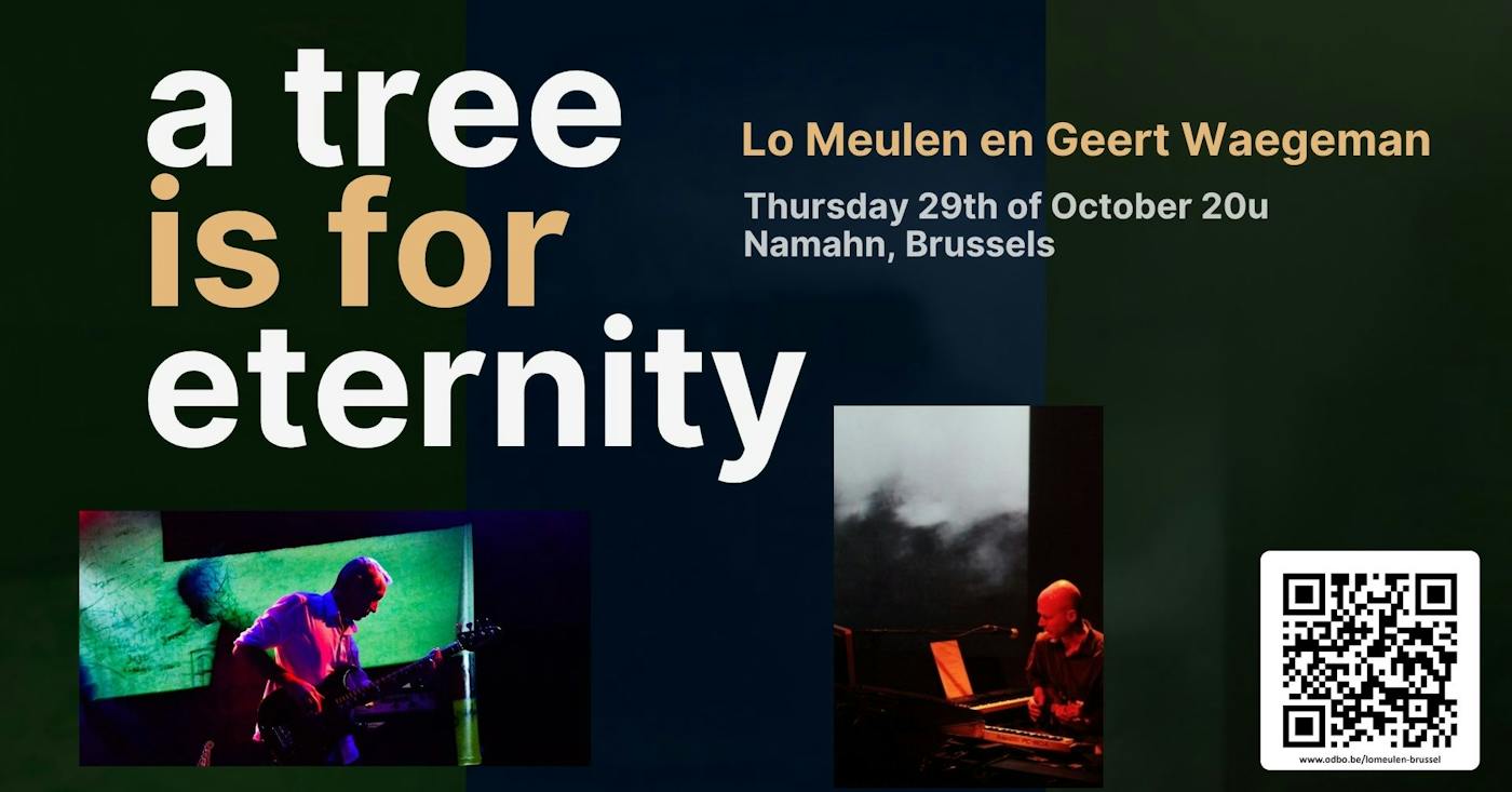 Concert a tree is for eternity - Lo Meulen en Geert Waegeman in concert Brussels - Saint-Josse-ten-Noode - Bruxelles